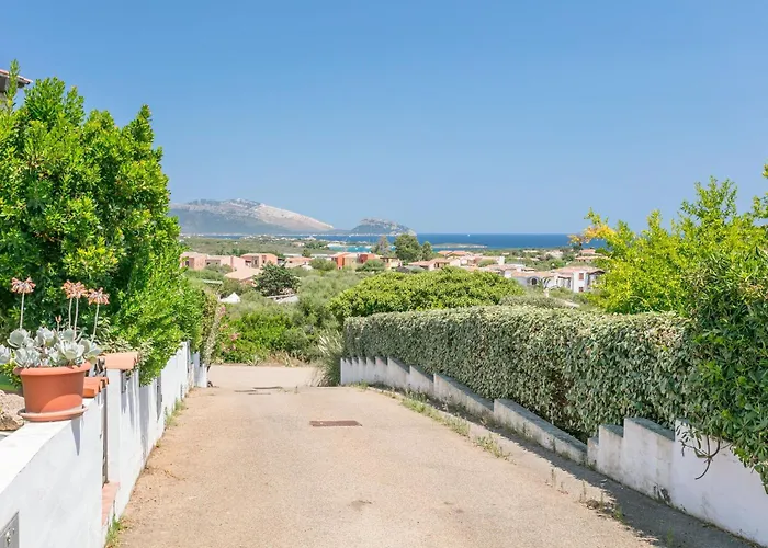 Le Farfalle 19 * オルビア